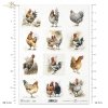 zwierzęta, wieś, kura, kury, kurka, kurki, kogut, koguty, drób, Early Spring, animals, countryside, hen, hens, rooster, roosters, poultry, Tiere, Landschaft, Henne, Hühner, Hahn, Hähne, Geflügel, Frühlingsanfang, animales